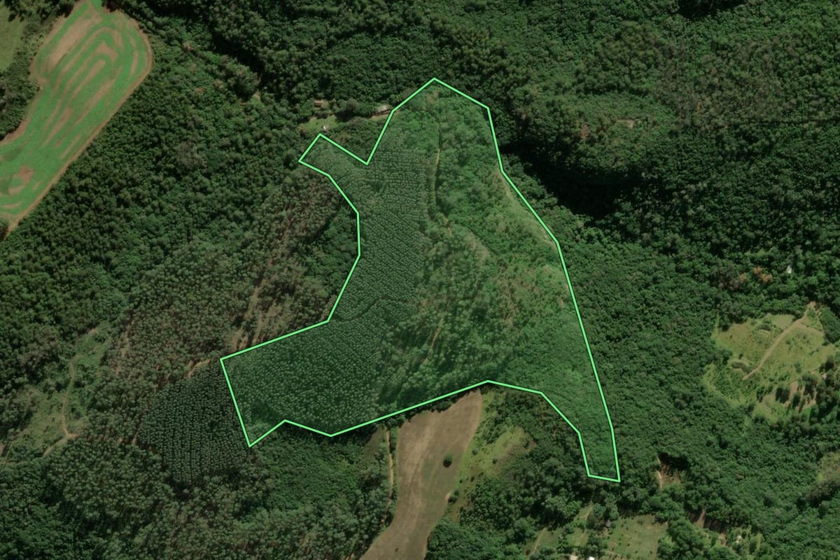 Imagem de satélite do imóvel rural em Glorinha (RS), com o contorno declarado no CAR desenhado por cima.