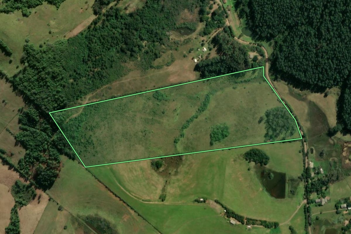 Imagem de satélite do imóvel rural em Glorinha (RS), com o contorno declarado no CAR desenhado por cima.