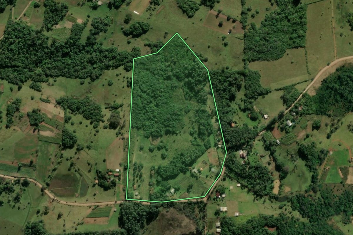 Imagem de satélite do imóvel rural em Glorinha (RS), com o contorno declarado no CAR desenhado por cima.