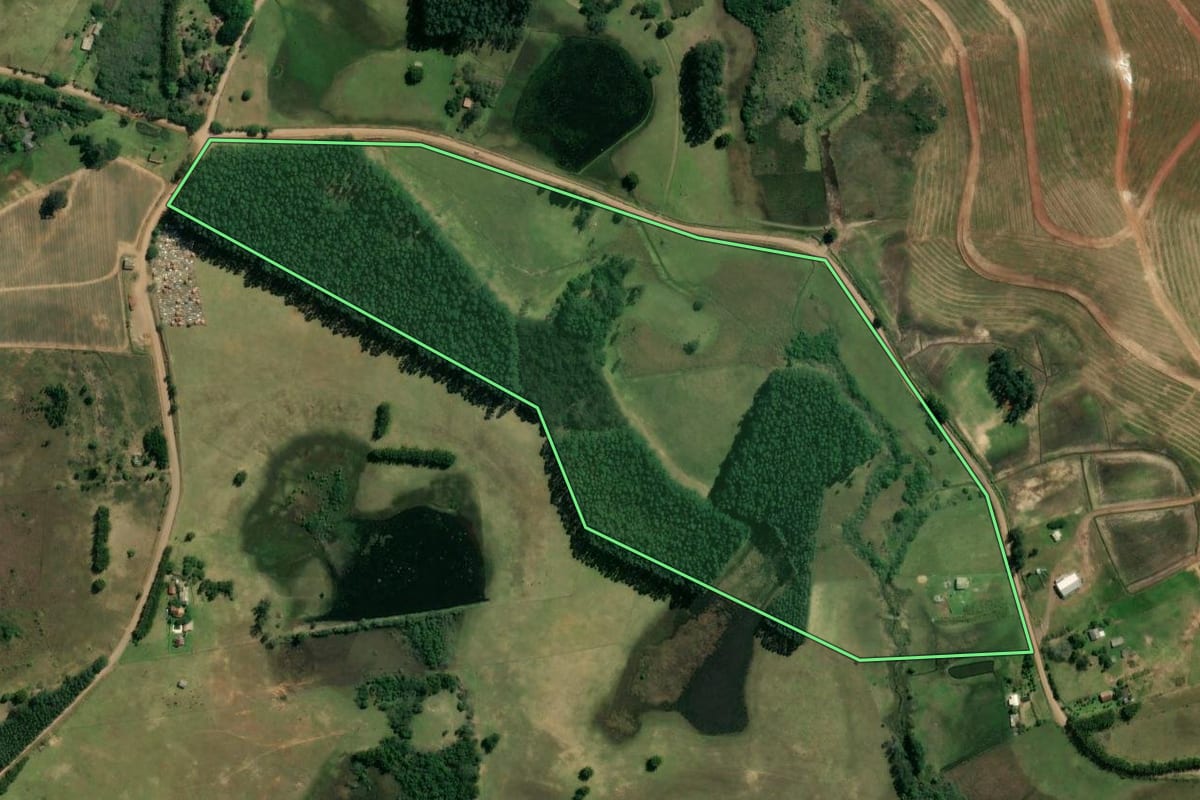 Imagem de satélite do imóvel rural em Glorinha (RS), com o contorno declarado no CAR desenhado por cima.