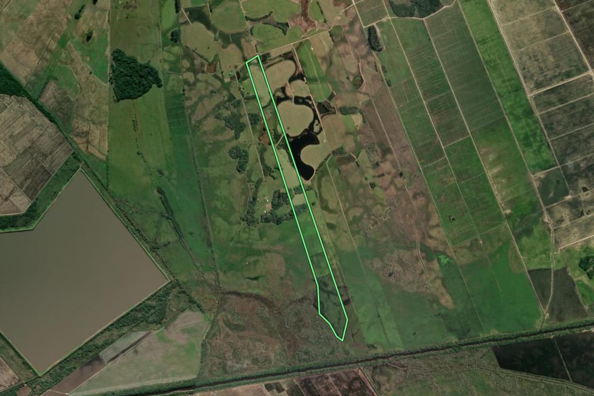 Imagem de satélite do imóvel rural em Glorinha (RS), com o contorno declarado no CAR desenhado por cima.