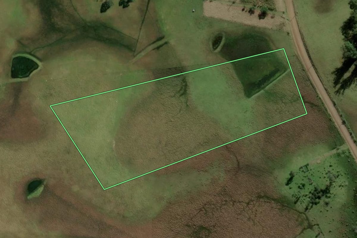 Imagem de satélite do imóvel rural em Glorinha (RS), com o contorno declarado no CAR desenhado por cima.