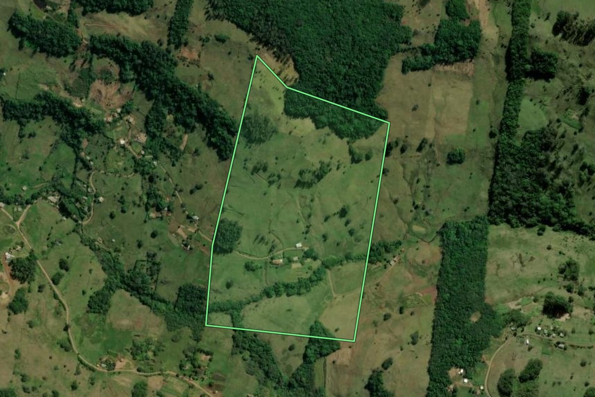 Imagem de satélite do imóvel rural em Glorinha (RS), com o contorno declarado no CAR desenhado por cima.