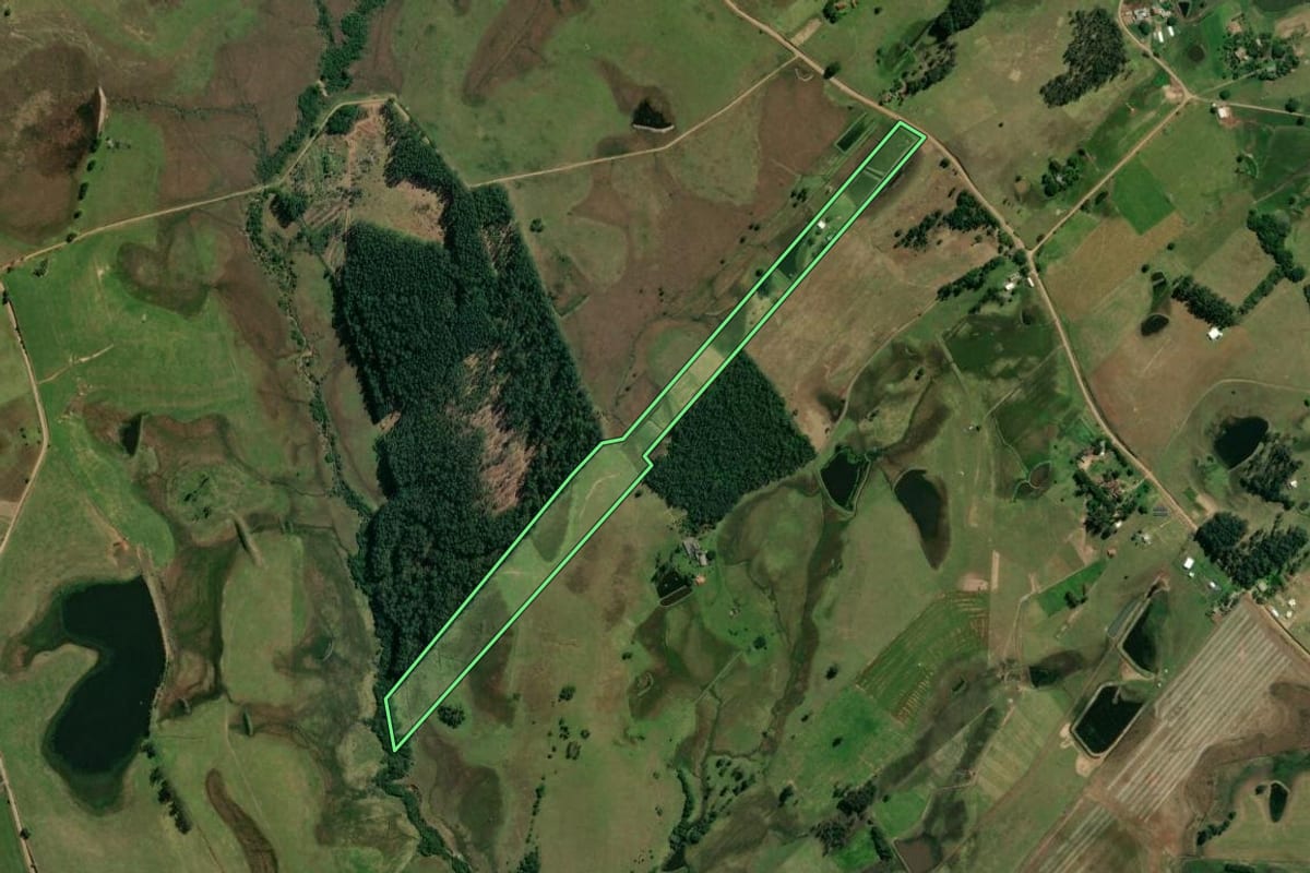 Imagem de satélite do imóvel rural em Glorinha (RS), com o contorno declarado no CAR desenhado por cima.