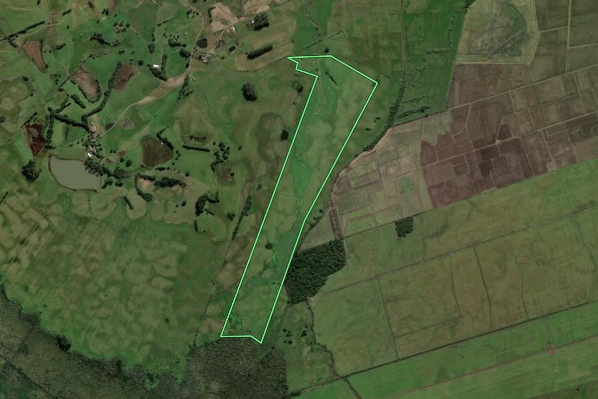 Imagem de satélite do imóvel rural em Glorinha (RS), com o contorno declarado no CAR desenhado por cima.