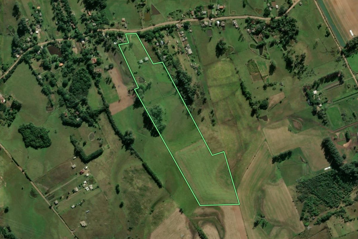 Imagem de satélite do imóvel rural em Glorinha (RS), com o contorno declarado no CAR desenhado por cima.