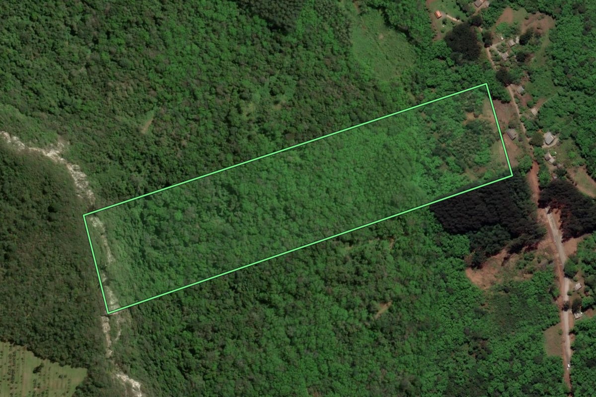 Imagem de satélite do imóvel rural em Gramado (RS), com o contorno declarado no CAR desenhado por cima.