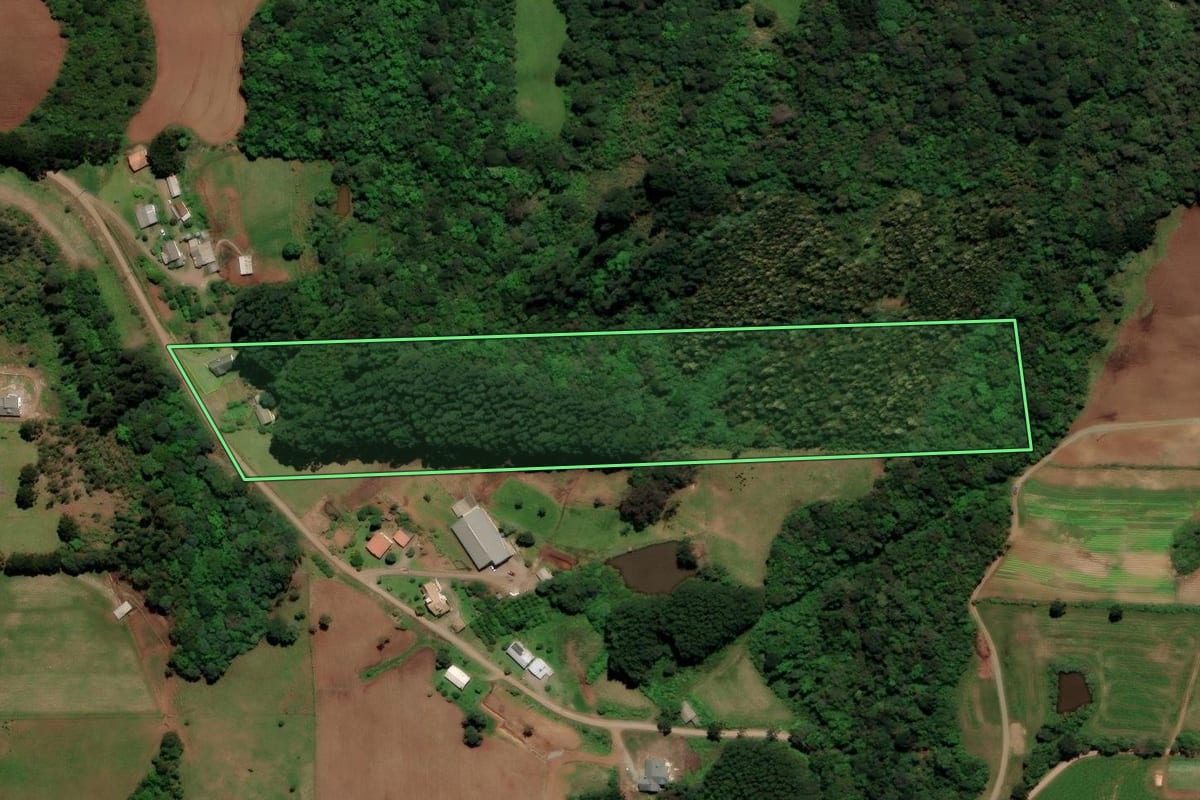Imagem de satélite do imóvel rural em Gramado (RS), com o contorno declarado no CAR desenhado por cima.
