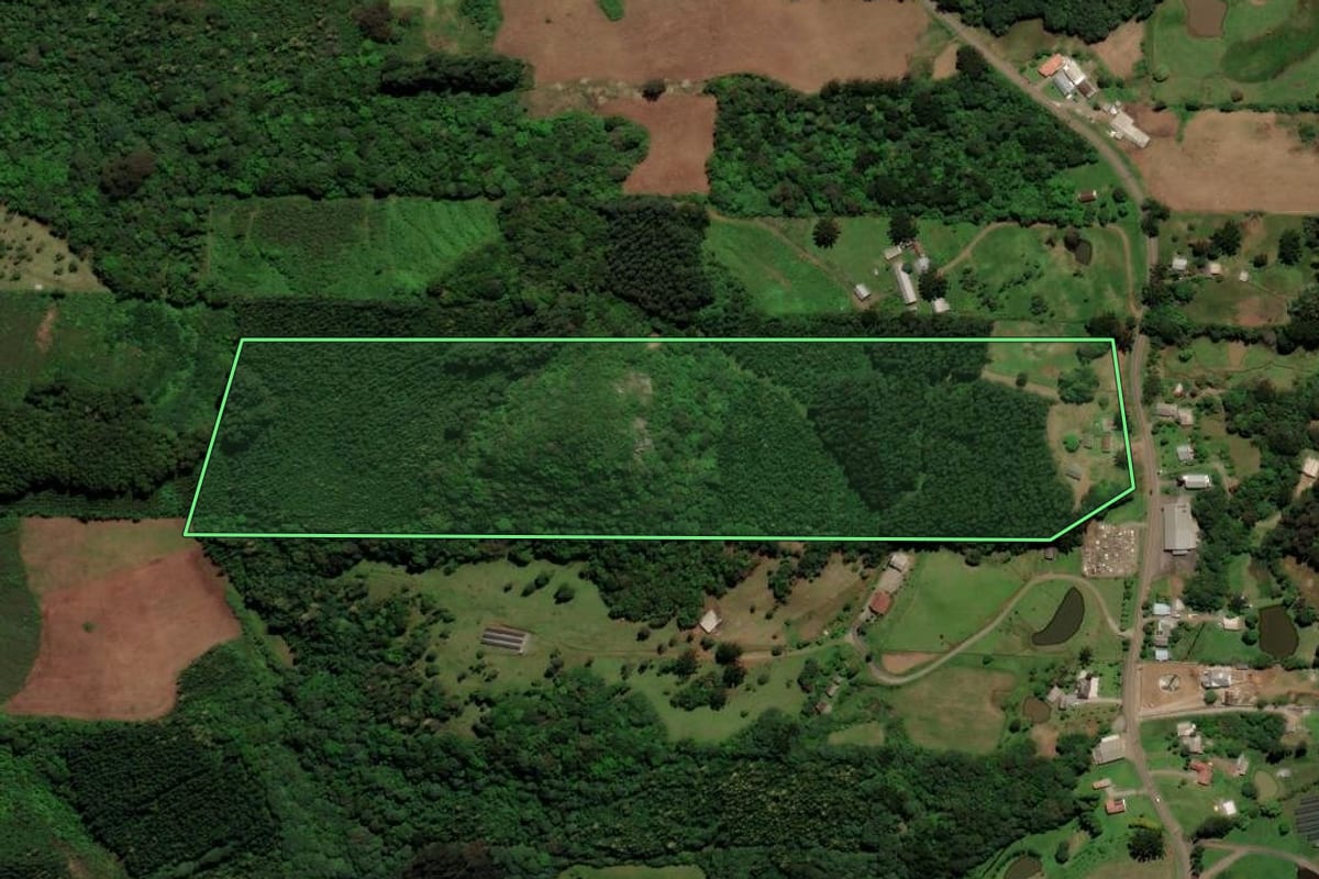 Imagem de satélite do imóvel rural em Gramado (RS), com o contorno declarado no CAR desenhado por cima.