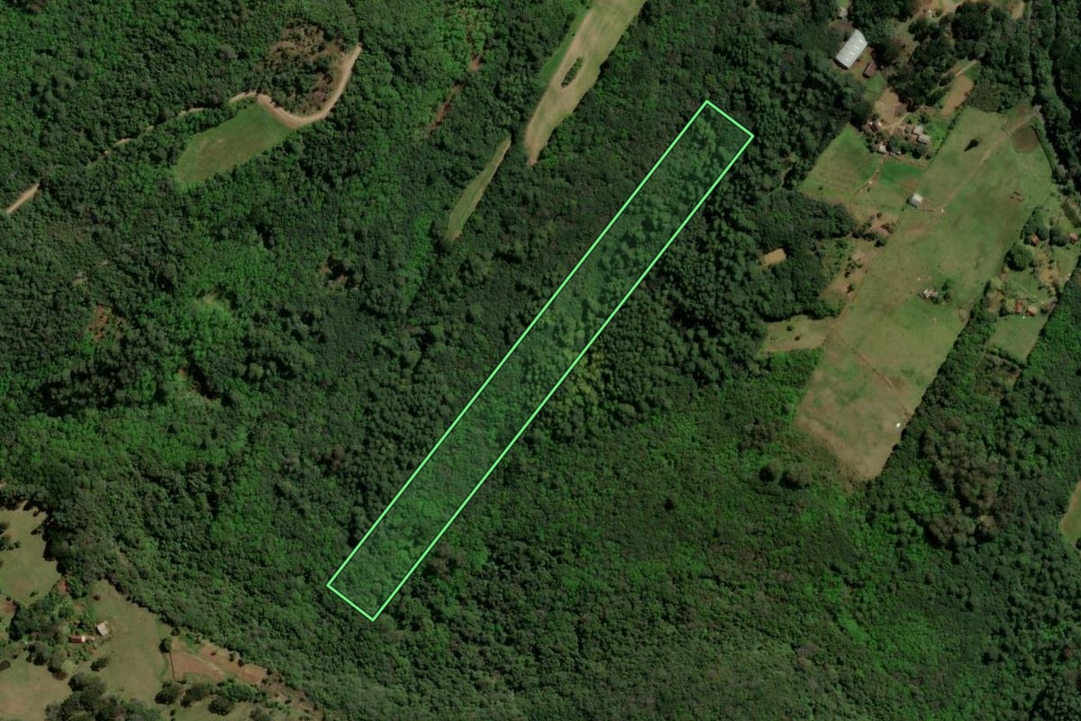 Imagem de satélite do imóvel rural em Gramado (RS), com o contorno declarado no CAR desenhado por cima.