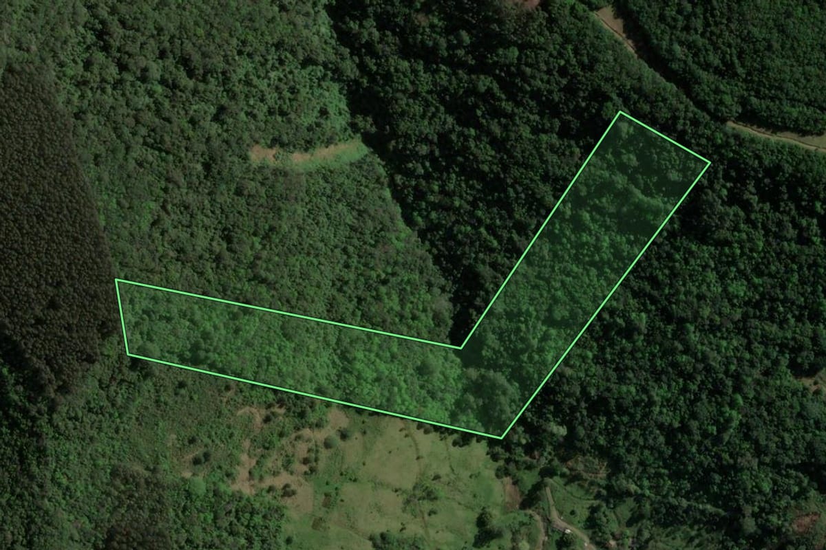 Imagem de satélite do imóvel rural em Gramado (RS), com o contorno declarado no CAR desenhado por cima.