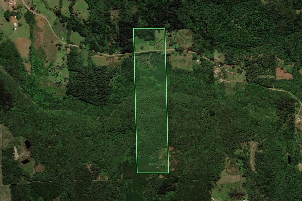 Imagem de satélite do imóvel rural em Gramado (RS), com o contorno declarado no CAR desenhado por cima.