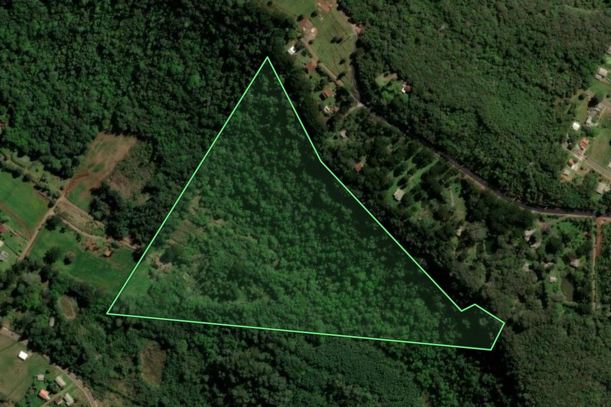 Imagem de satélite do imóvel rural em Gramado (RS), com o contorno declarado no CAR desenhado por cima.