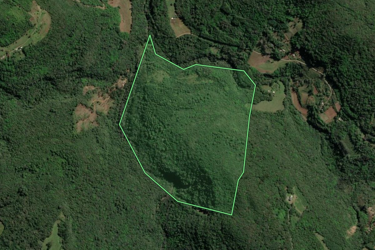 Imagem de satélite do imóvel rural em Gramado (RS), com o contorno declarado no CAR desenhado por cima.