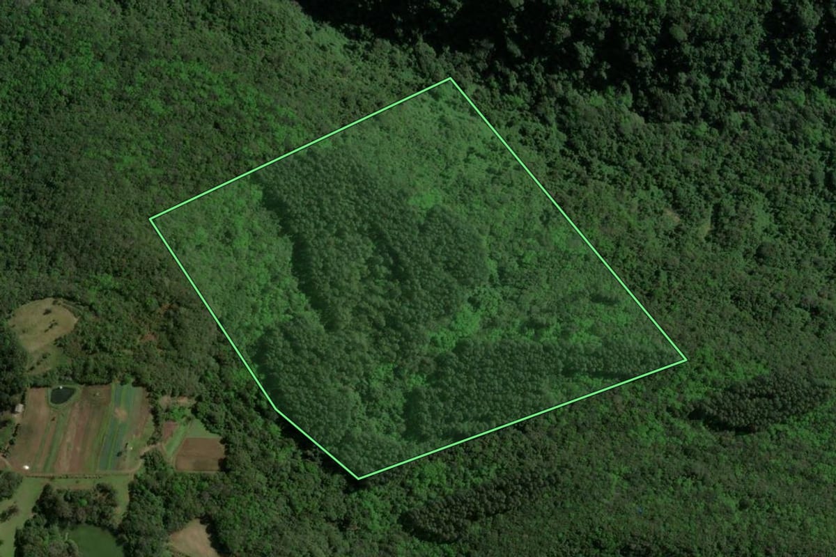 Imagem de satélite do imóvel rural em Gramado (RS), com o contorno declarado no CAR desenhado por cima.