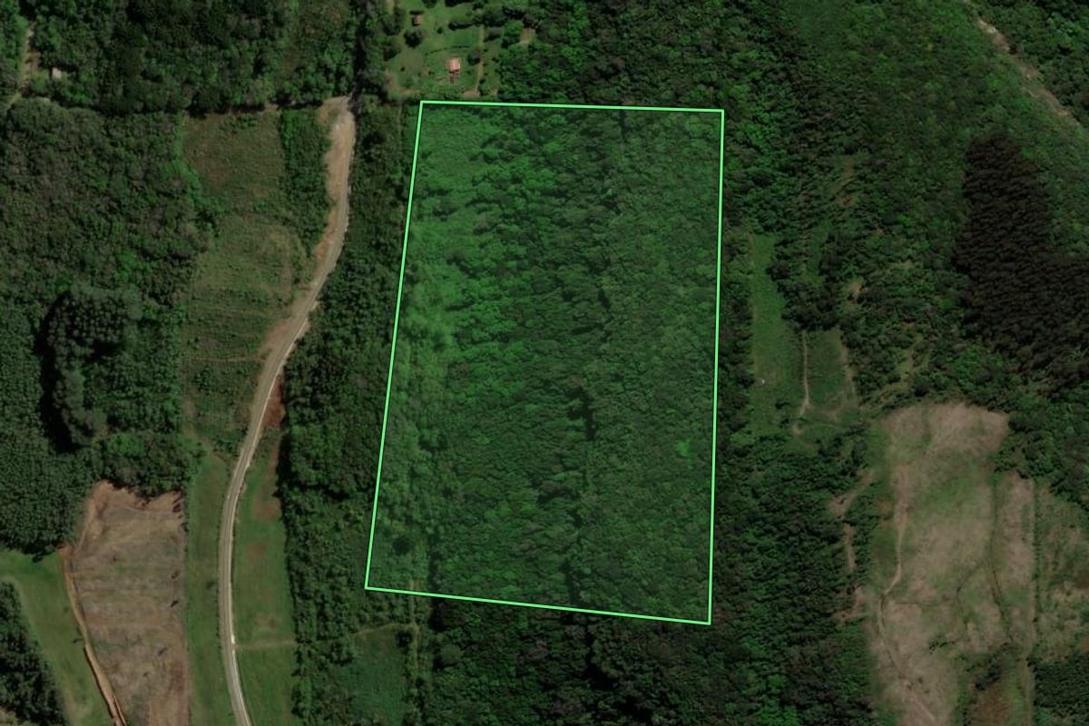 Imagem de satélite do imóvel rural em Gramado (RS), com o contorno declarado no CAR desenhado por cima.