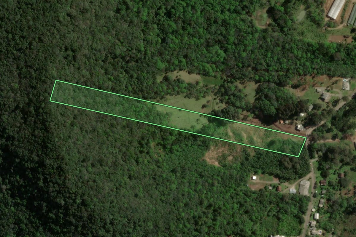 Imagem de satélite do imóvel rural em Gramado (RS), com o contorno declarado no CAR desenhado por cima.
