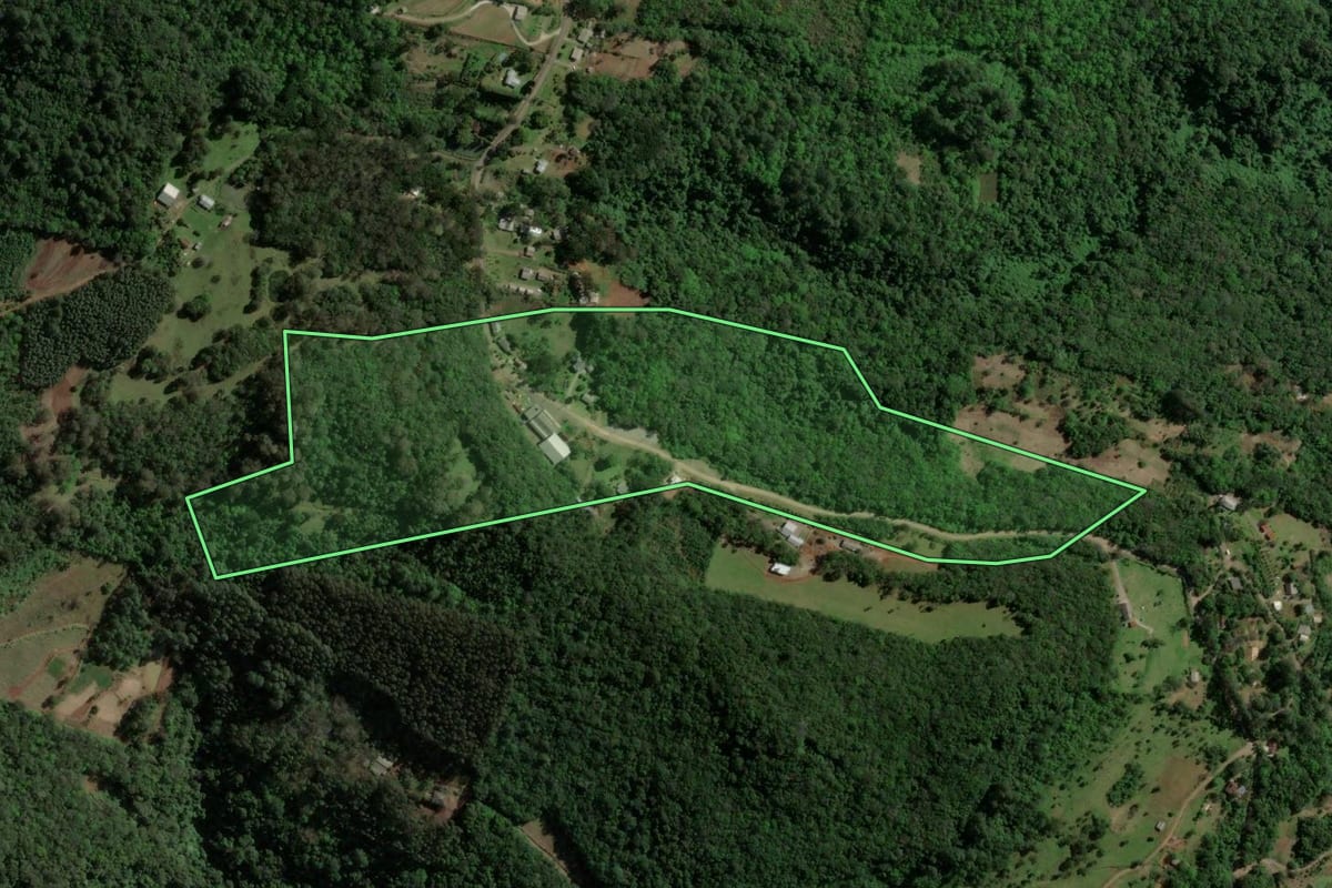 Imagem de satélite do imóvel rural em Gramado (RS), com o contorno declarado no CAR desenhado por cima.