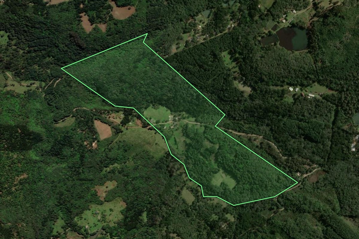 Imagem de satélite do imóvel rural em Gramado (RS), com o contorno declarado no CAR desenhado por cima.