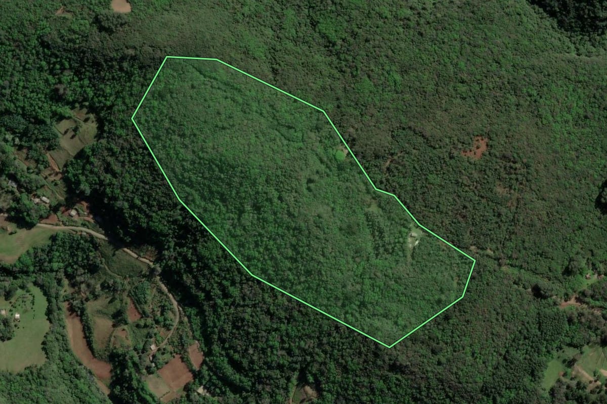Imagem de satélite do imóvel rural em Gramado (RS), com o contorno declarado no CAR desenhado por cima.