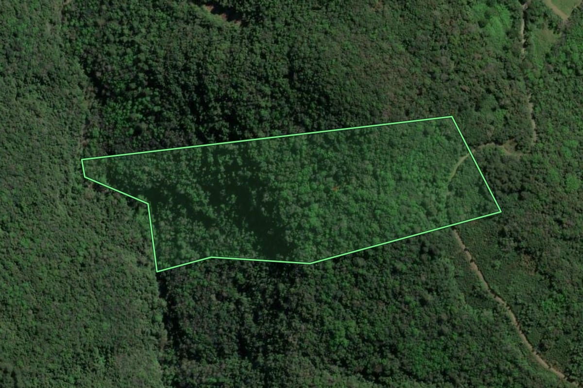 Imagem de satélite do imóvel rural em Gramado (RS), com o contorno declarado no CAR desenhado por cima.