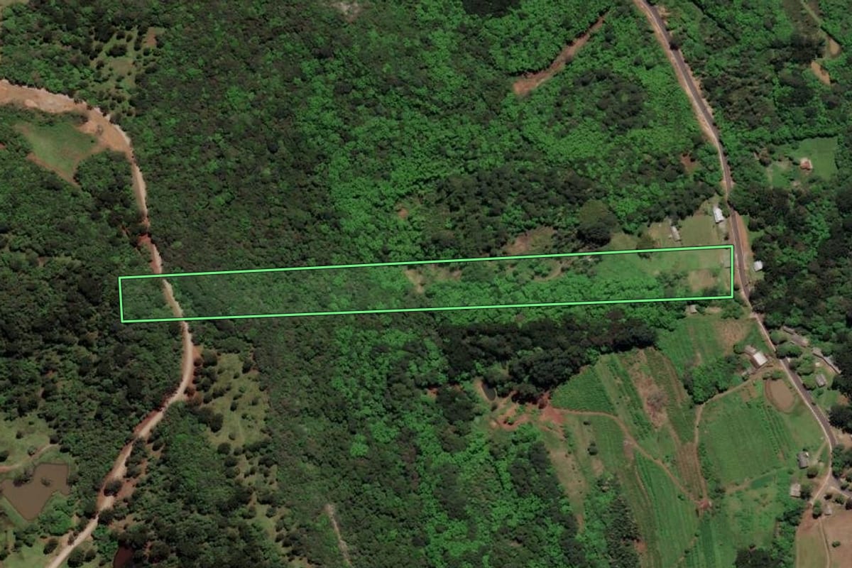 Imagem de satélite do imóvel rural em Gramado (RS), com o contorno declarado no CAR desenhado por cima.