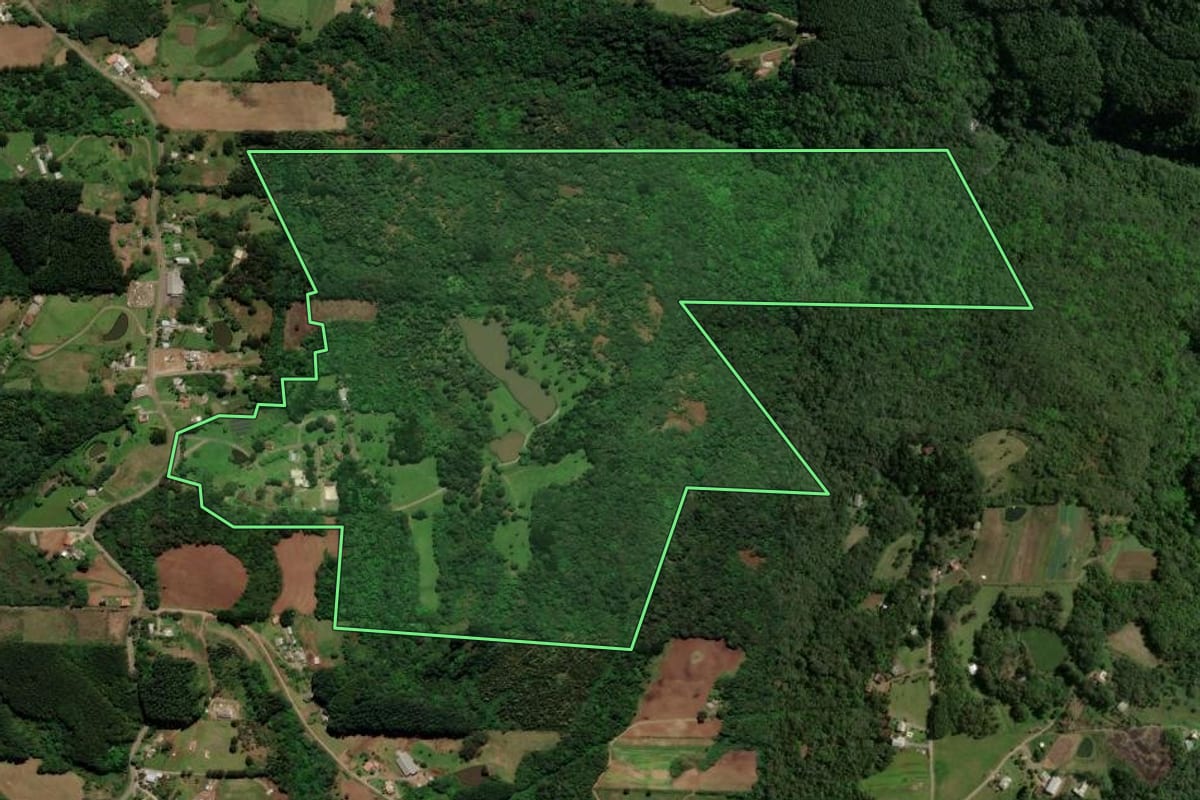 Imagem de satélite do imóvel rural em Gramado (RS), com o contorno declarado no CAR desenhado por cima.