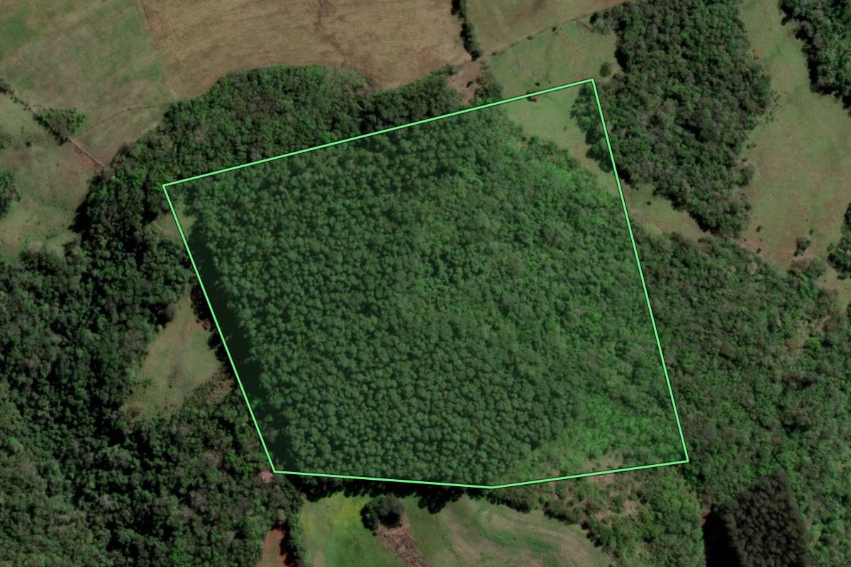 Imagem de satélite do imóvel rural em Gramado dos Loureiros (RS), com o contorno declarado no CAR desenhado por cima.