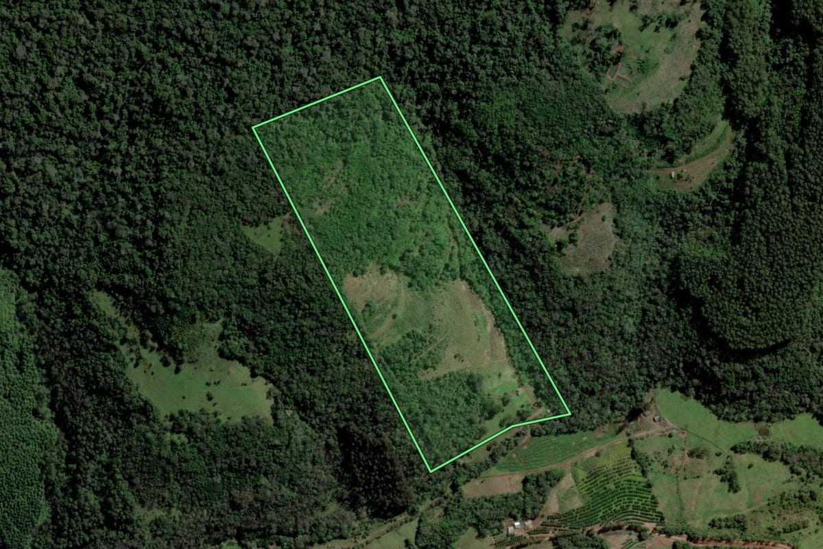 Imagem de satélite do imóvel rural em Gramado dos Loureiros (RS), com o contorno declarado no CAR desenhado por cima.