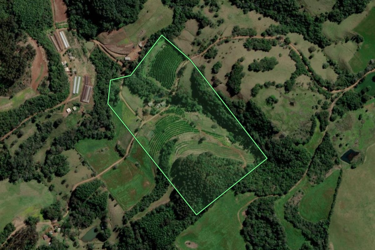 Imagem de satélite do imóvel rural em Gramado dos Loureiros (RS), com o contorno declarado no CAR desenhado por cima.