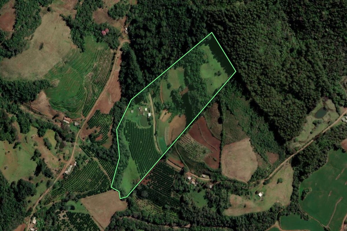 Imagem de satélite do imóvel rural em Gramado dos Loureiros (RS), com o contorno declarado no CAR desenhado por cima.