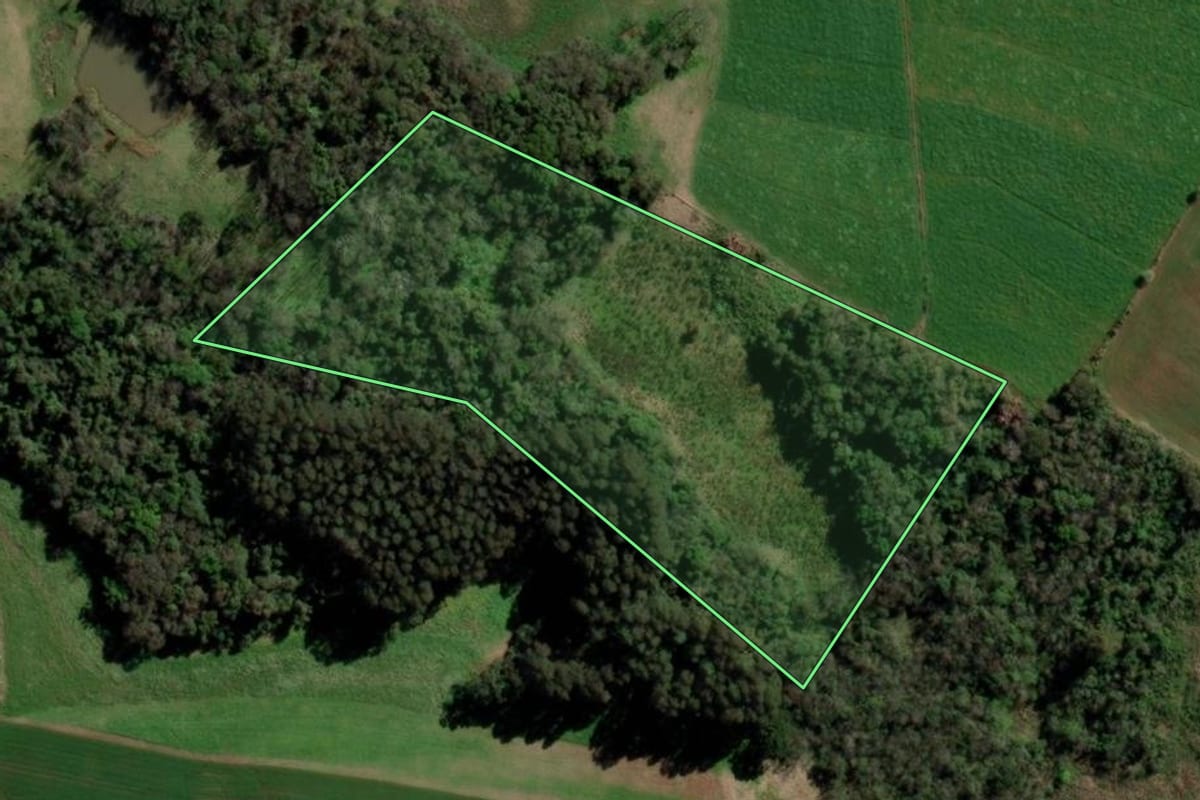 Imagem de satélite do imóvel rural em Gramado dos Loureiros (RS), com o contorno declarado no CAR desenhado por cima.