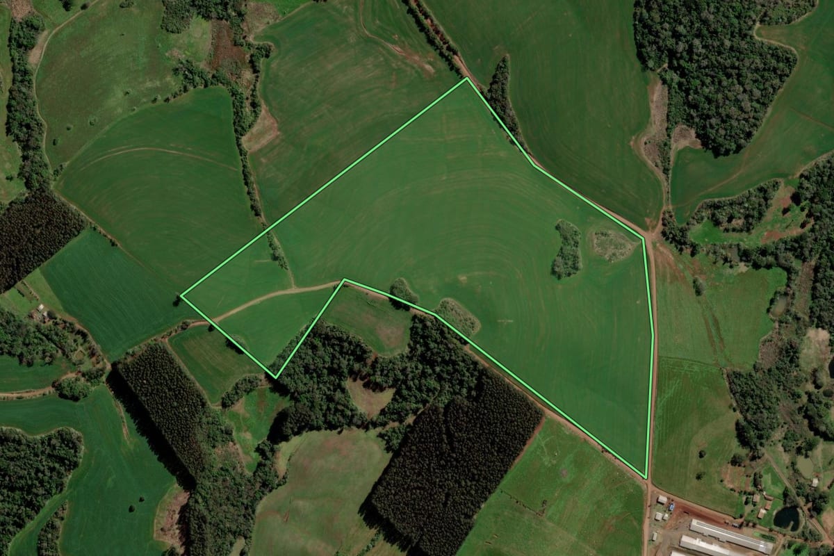 Imagem de satélite do imóvel rural em Gramado dos Loureiros (RS), com o contorno declarado no CAR desenhado por cima.