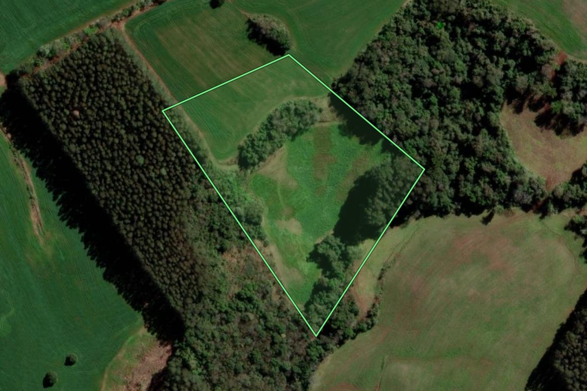 Imagem de satélite do imóvel rural em Gramado dos Loureiros (RS), com o contorno declarado no CAR desenhado por cima.