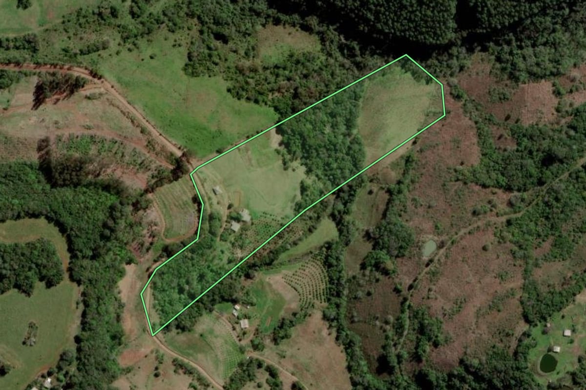 Imagem de satélite do imóvel rural em Gramado dos Loureiros (RS), com o contorno declarado no CAR desenhado por cima.