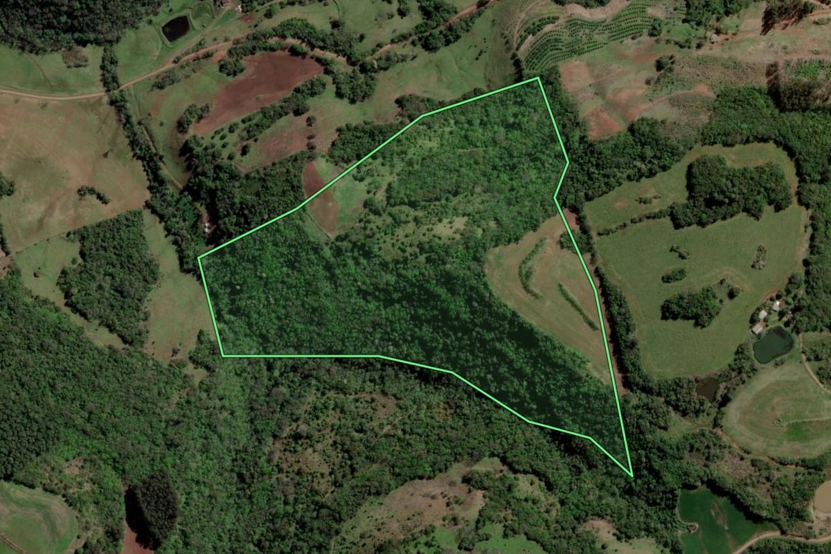Imagem de satélite do imóvel rural em Gramado dos Loureiros (RS), com o contorno declarado no CAR desenhado por cima.