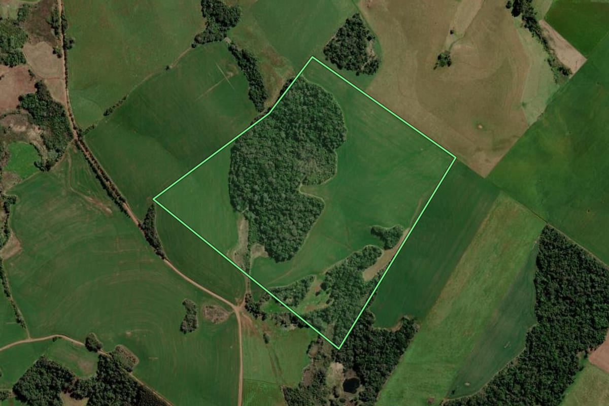 Imagem de satélite do imóvel rural em Gramado dos Loureiros (RS), com o contorno declarado no CAR desenhado por cima.