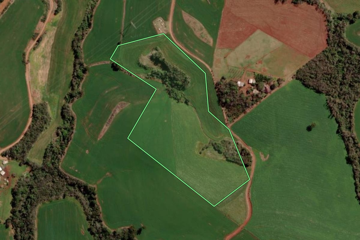 Imagem de satélite do imóvel rural em Gramado dos Loureiros (RS), com o contorno declarado no CAR desenhado por cima.