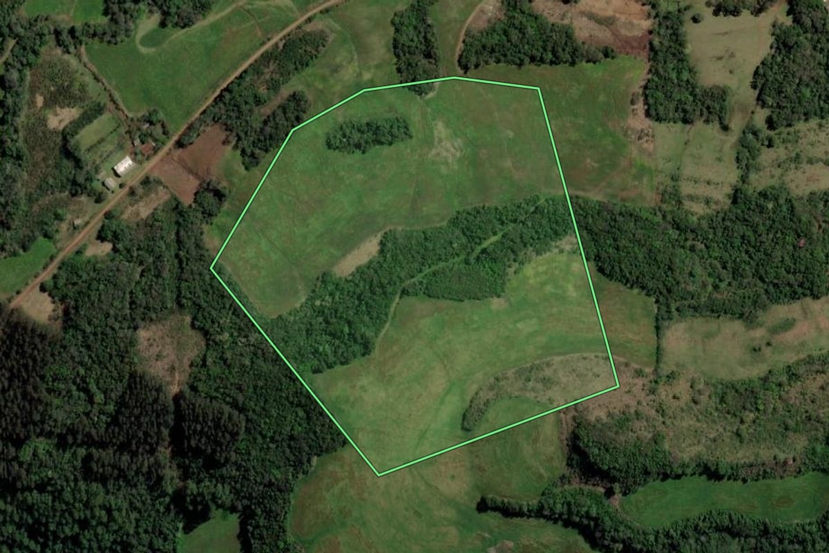 Imagem de satélite do imóvel rural em Gramado dos Loureiros (RS), com o contorno declarado no CAR desenhado por cima.