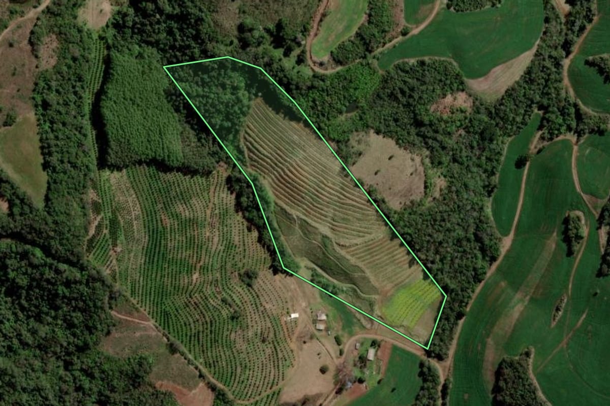 Imagem de satélite do imóvel rural em Gramado dos Loureiros (RS), com o contorno declarado no CAR desenhado por cima.