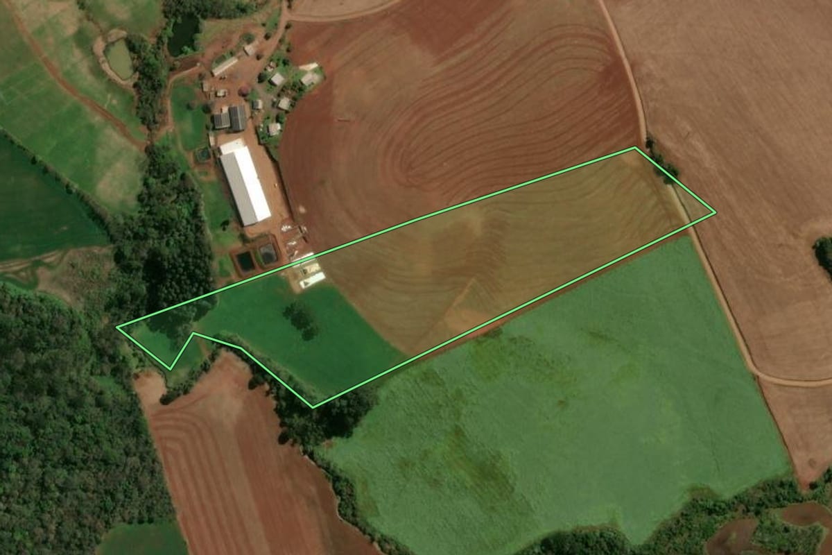 Imagem de satélite do imóvel rural em Gramado dos Loureiros (RS), com o contorno declarado no CAR desenhado por cima.