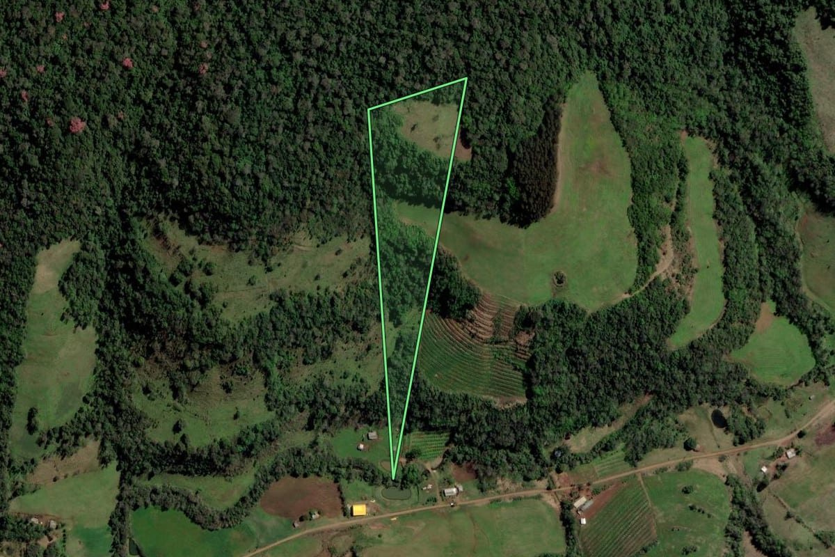 Imagem de satélite do imóvel rural em Gramado dos Loureiros (RS), com o contorno declarado no CAR desenhado por cima.
