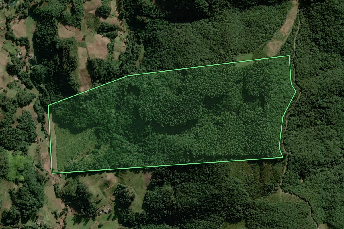 Imagem de satélite do imóvel rural em Gramado Xavier (RS), com o contorno declarado no CAR desenhado por cima.