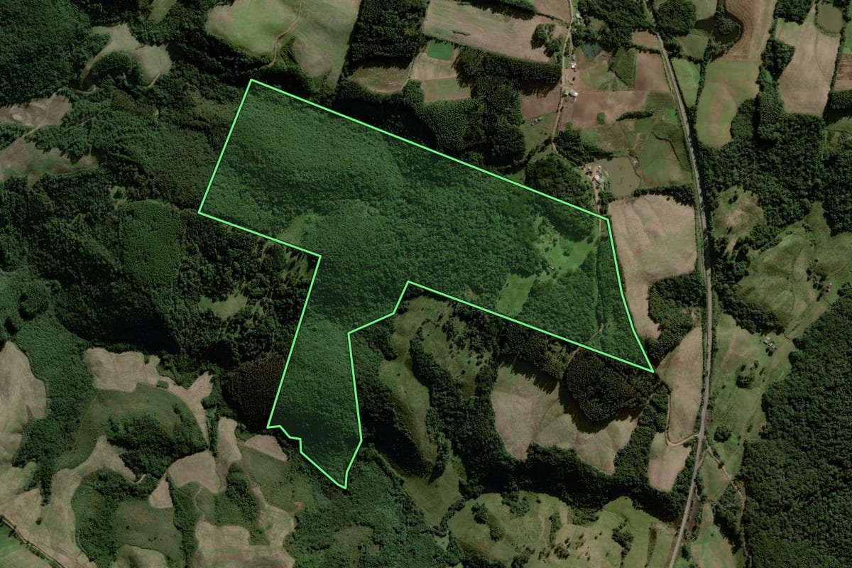 Imagem de satélite do imóvel rural em Gramado Xavier (RS), com o contorno declarado no CAR desenhado por cima.