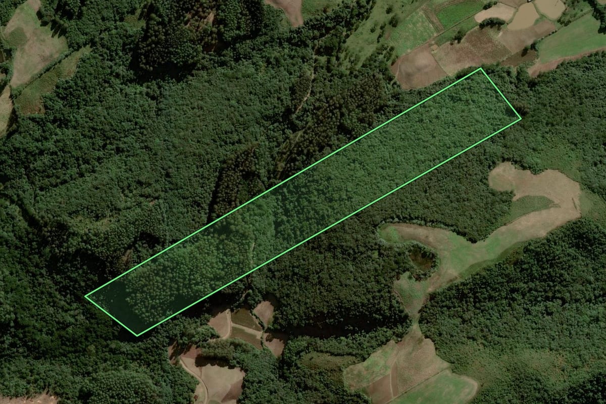 Imagem de satélite do imóvel rural em Gramado Xavier (RS), com o contorno declarado no CAR desenhado por cima.