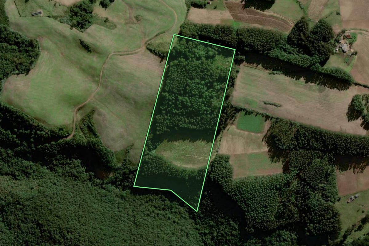 Imagem de satélite do imóvel rural em Gramado Xavier (RS), com o contorno declarado no CAR desenhado por cima.