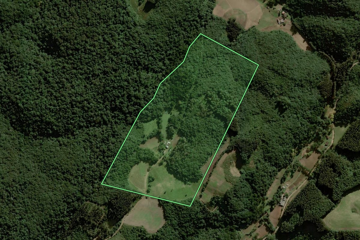 Imagem de satélite do imóvel rural em Gramado Xavier (RS), com o contorno declarado no CAR desenhado por cima.