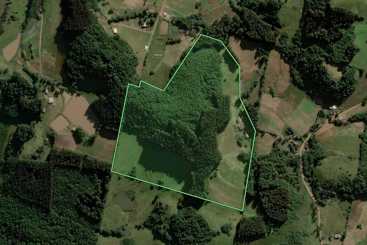 Imagem de satélite do imóvel rural em Gramado Xavier (RS), com o contorno declarado no CAR desenhado por cima.