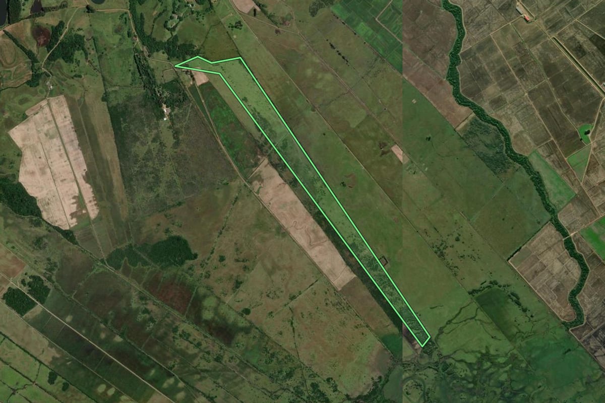 Imagem de satélite do imóvel rural em Gravataí (RS), com o contorno declarado no CAR desenhado por cima.