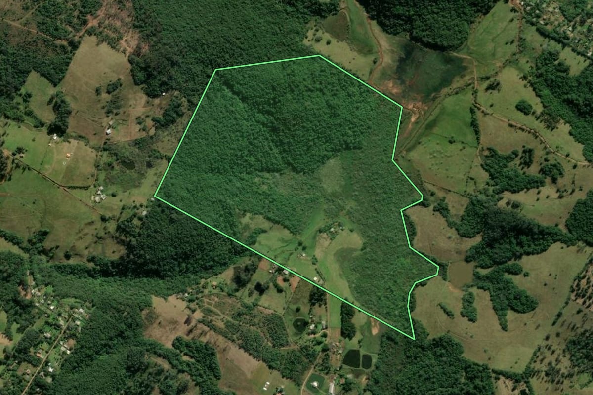 Imagem de satélite do imóvel rural em Gravataí (RS), com o contorno declarado no CAR desenhado por cima.